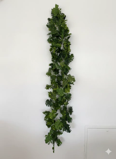 Guia de Costilla de adan o monstera 260 cm - tienda online