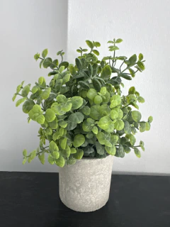 Maceta con Pasto y Eucalipto 7x25 cm - comprar online