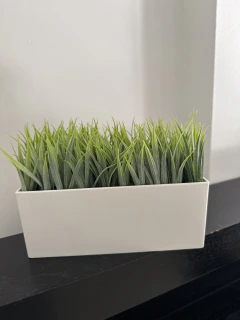 Jardinera con Pasto 15x20 cm - tienda online