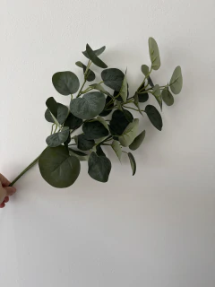 Vara de Eucalipto 85 cm - ambientartedeco