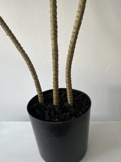 Planta de Ti de 140 cm - ambientartedeco