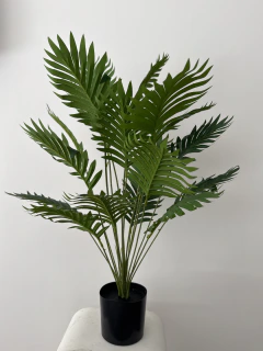 Planta Palmera Area 80 cm - tienda online