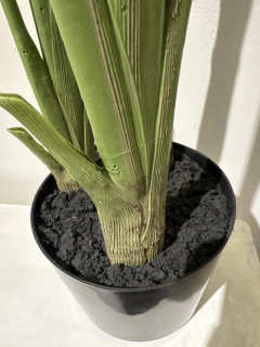 Planta de Banano-Nicolai de 220 cm en internet