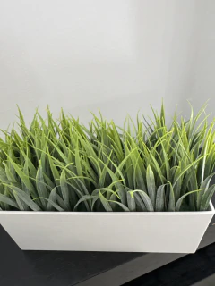 Imagen de Jardinera con Pasto 15x20 cm