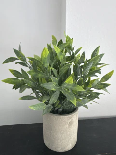 Maceta con Pasto y Eucalipto 7x25 cm