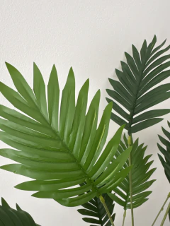 Planta Palmera Area 80 cm - ambientartedeco