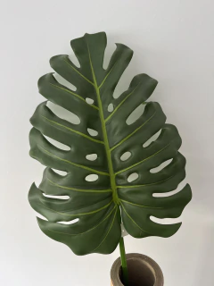 Hoja Costilla de Adán Monstera Gigante 104x37 cm - tienda online
