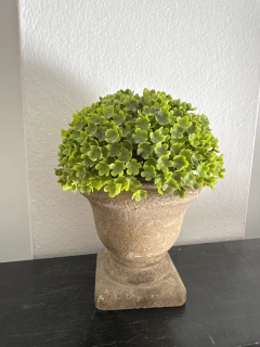 Maceta con Pasto 15x12 cm - tienda online