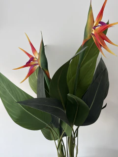 Planta Sterlizia o Flor de Pajaro 110 cm - ambientartedeco