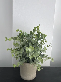 Maceta con Pasto y Eucalipto 7x25 cm - tienda online