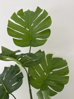 Planta Costilla de Adan de 120 cm - ambientartedeco
