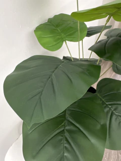 Planta Alocasia 60 cm - ambientartedeco