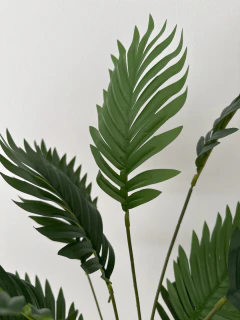 Planta Palmera Area 80 cm en internet