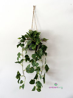 Caida de Potus Disciplinada de 60 cm - ambientartedeco