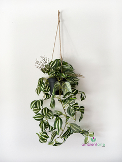 Caida de Potus Disciplinada de 50 cm - ambientartedeco