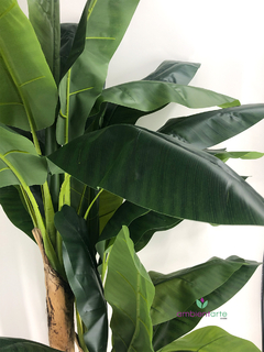 Planta de Banano- Nicolai de 180 cm - ambientartedeco