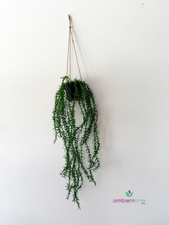 Caida de Romerillo de 55 cm - ambientartedeco