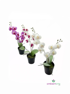 Maceta con orquidea 45 cm - comprar online