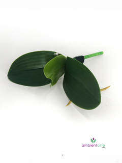 Hoja de Orquidea 20 cm en internet