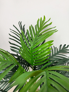 Planta Palmera 150 cm en internet