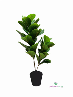 Planta Pandurata de 105 cm - comprar online