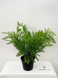 Maceta con Helecho 11x35 cm - tienda online