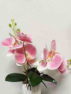 Maceta con Orquídea 10x40 cm en internet