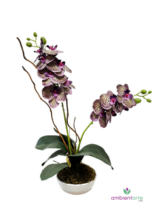 Maceta con Orquídea 10x55 cm - comprar online
