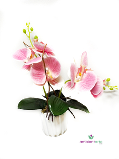 Maceta con Orquídea 10x40 cm - comprar online
