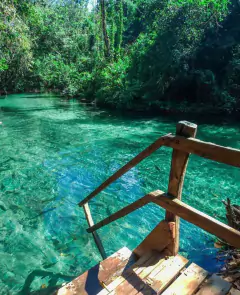 BOM JARDIM - NOBRES - 20 DE DEZEMBRO na internet