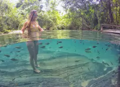 BOM JARDIM - NOBRES - 20 DE DEZEMBRO - Trilhando Sem Fronteiras