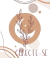 Banner de Mandalas de Lux