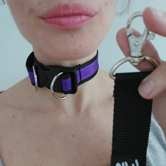 choker pet + correa en internet