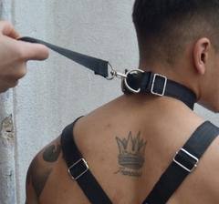 choker pet + correa en internet