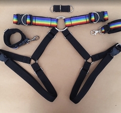 conjunto bottom en internet