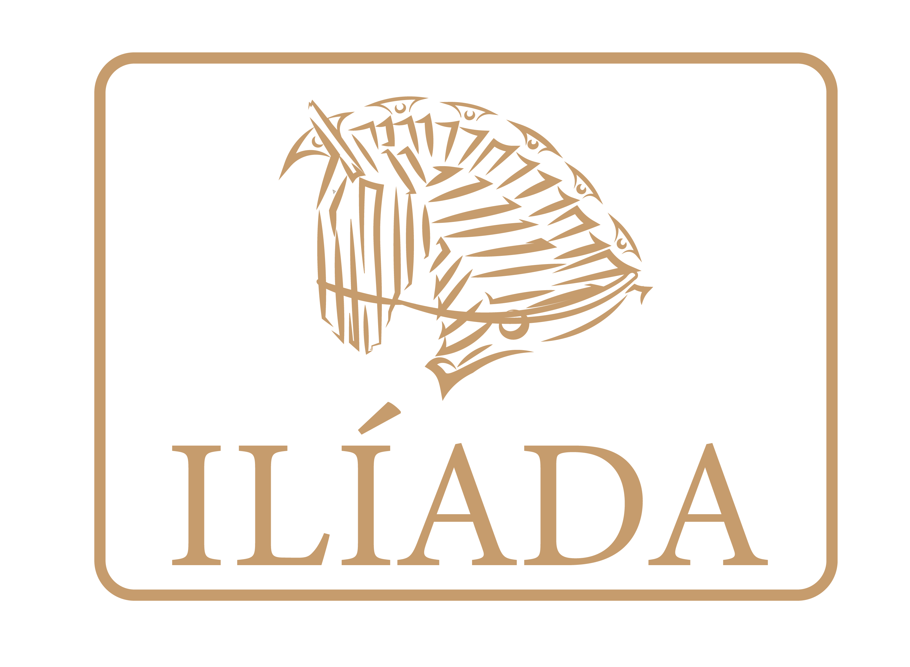Ilíada