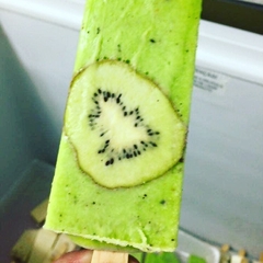 Formas p/ Paleta Mexicana 100-113 ou 123ml. - Denis Campos Curso de Sorvetes e Equipamentos