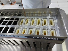 Formas p/ Paleta Mexicana 100-113 ou 123ml. - comprar online
