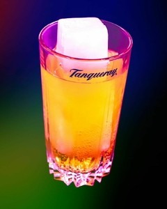 Imagem do Forma p/ Gelo de Coco + Extrator 70/200ml