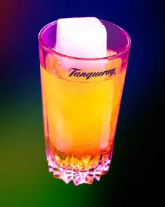 Curso de Gelo água de coco e saborizado p/ Drink's - comprar online