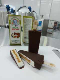 Formas p/ Paleta Mexicana 100-113 ou 123ml. - Denis Campos Curso de Sorvetes e Equipamentos
