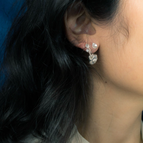 COMPRAR-BRINCOS-FRESTA-CASULO