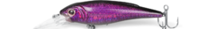 Banner de la categoría Paleton