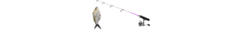 Banner de la categoría Cañas de Pesca