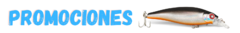 Banner de la categoría Promociones