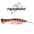 Hooked Pop 1.5 Onzas (42g) Popper