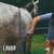Banner de AM Herramientas