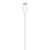 Carregador MagSafe - TUA CASE: Acessórios
