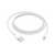 Cabo Lightning 1M