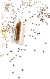 GLITTER FORMA ESTRELLA DORADA x1 U en internet